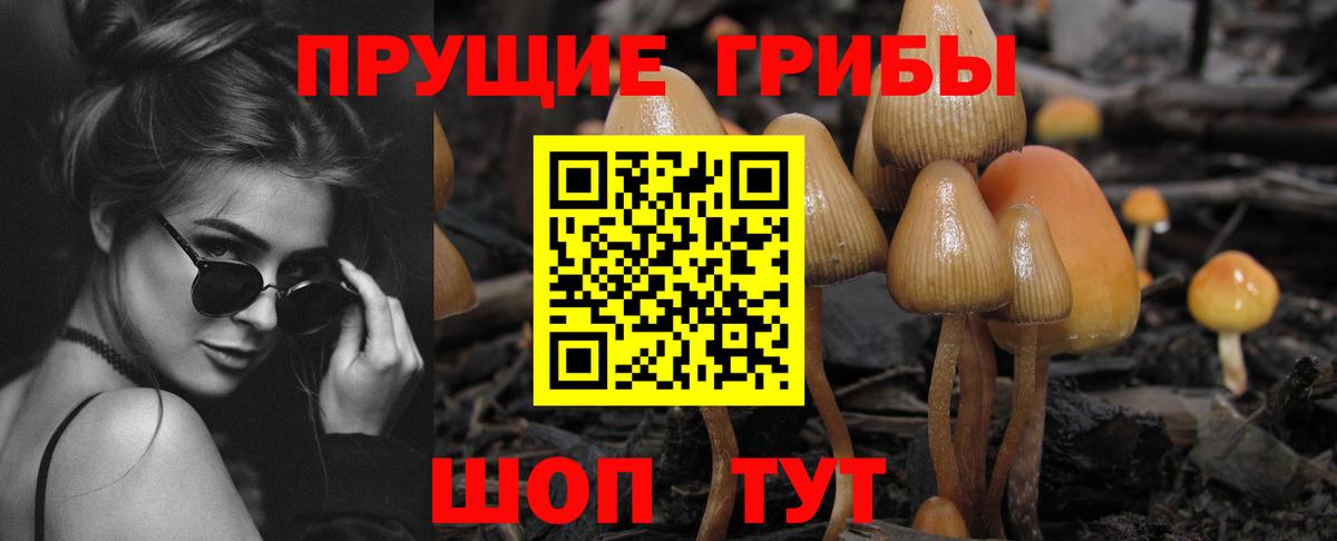 цена   Псилоцибиновые грибы мухоморы  Вход с VPN  Спасск-Дальний  Псилоцибиновые грибы прущие грибы 